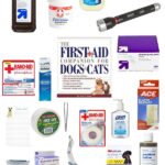 Dog First Aid Kit: Essential Supplies for Pet Emergencies