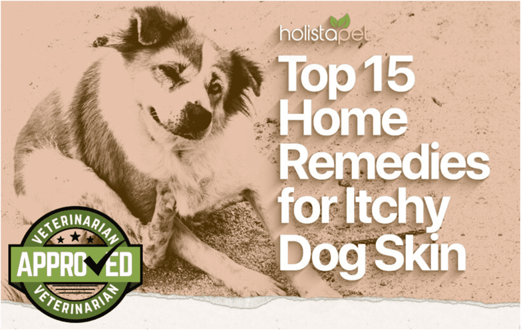 Home Remedies for Dogs Itchy Skin