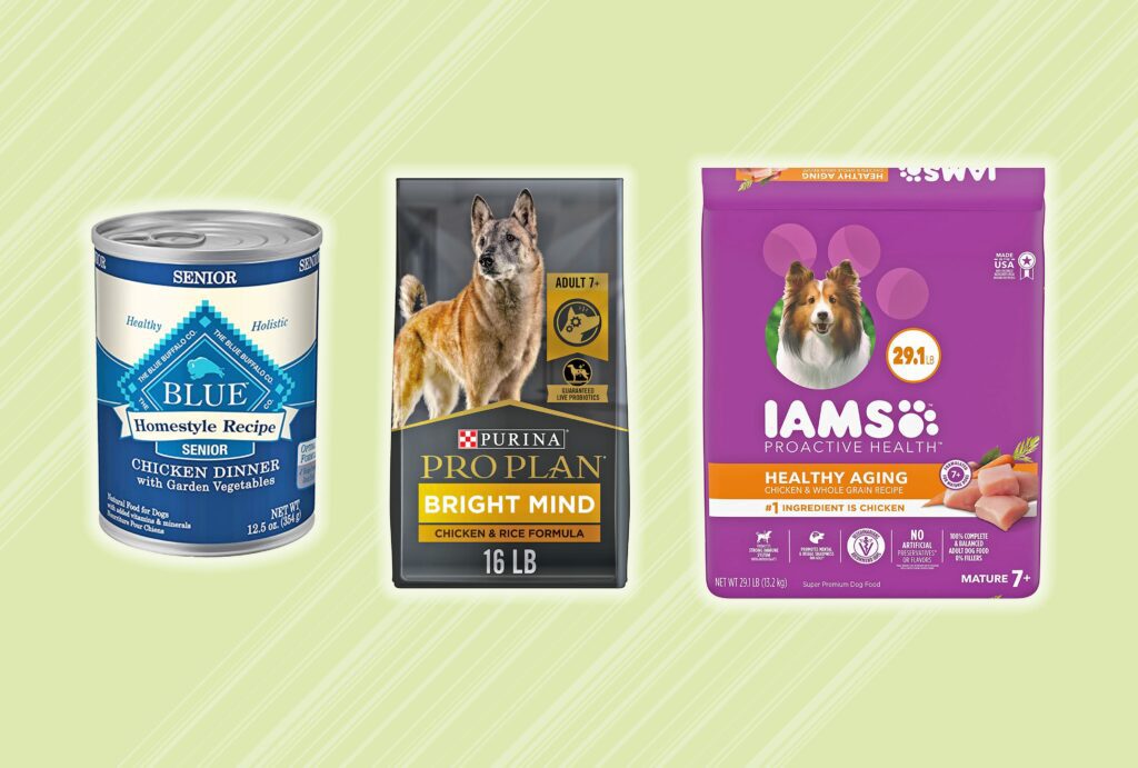 Best Dog Food for Senior Dogs: Top Picks for Health & Vitality