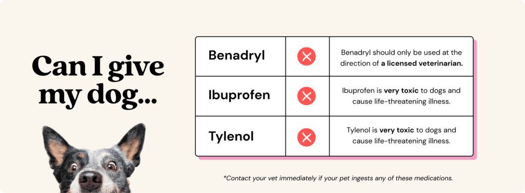 How Much Tylenol Can I Give My Dog