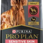 Sensitive Skin And Stomach Dog Food: Best Options for Your Pet