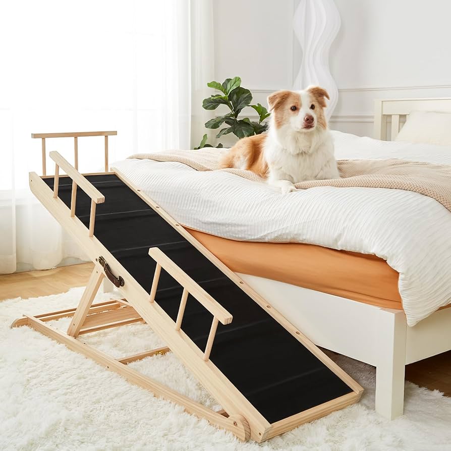 Best Bed Ramp for Small Elderly Dog