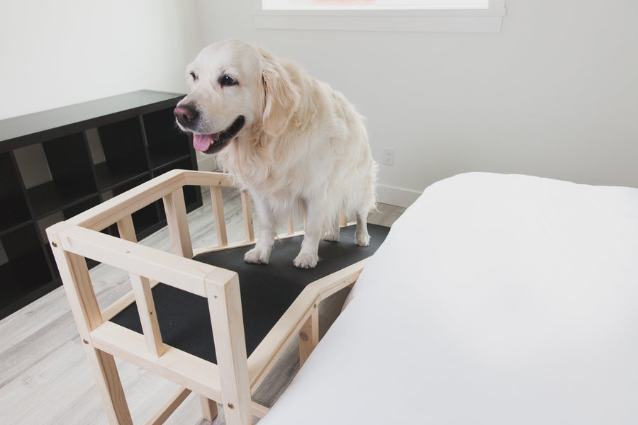 Dog Ramp for Beds