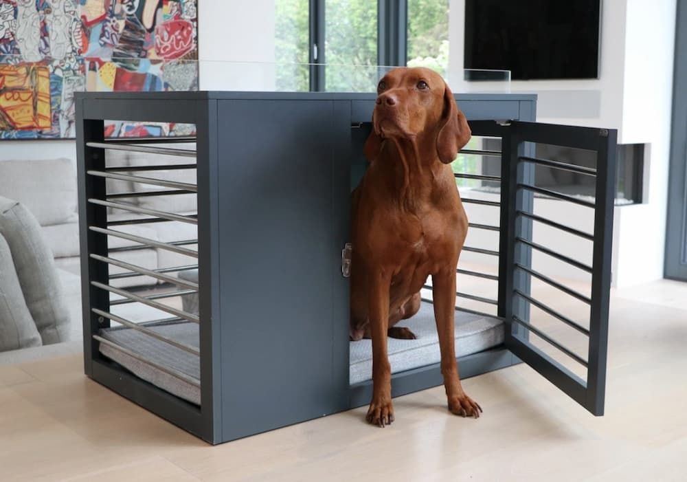 Metal dog crates for large dogs