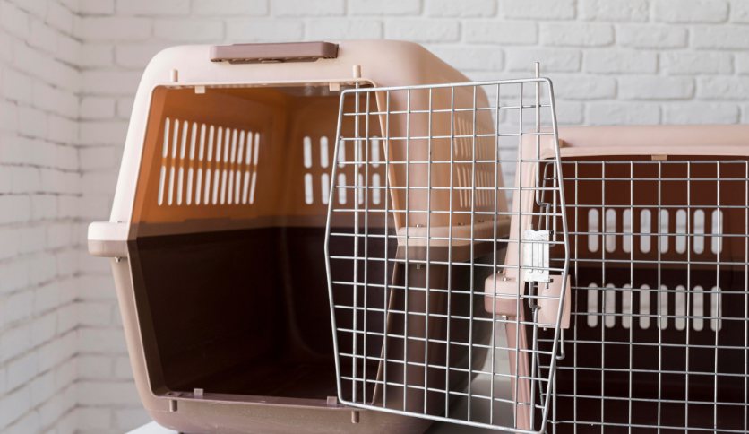 plastic dog crates